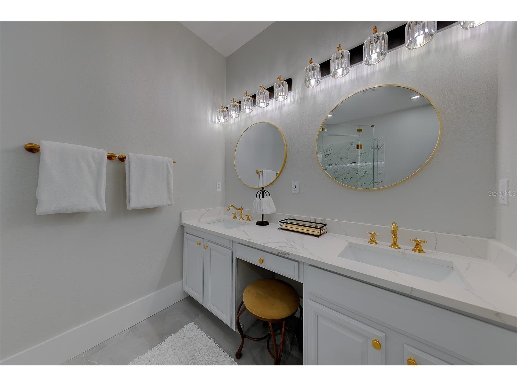 1415 Tessano Place Palm Harbor FL 34683 TB8516501 image39