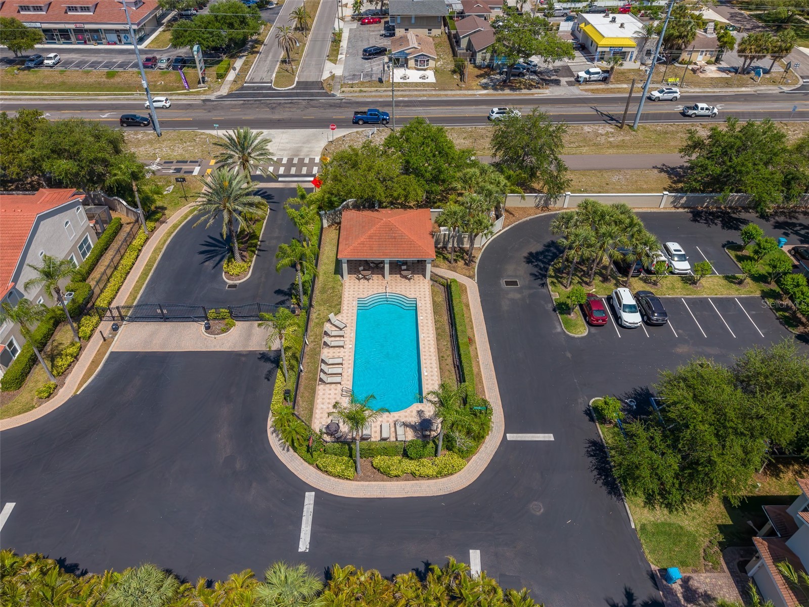 1415 Tessano Place Palm Harbor FL 34683 TB8516501 image58