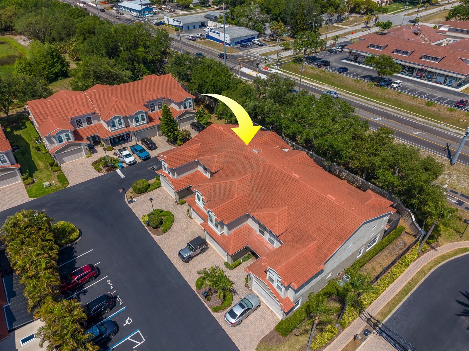 1415 Tessano Place Palm Harbor FL 34683 TB8516501 image63