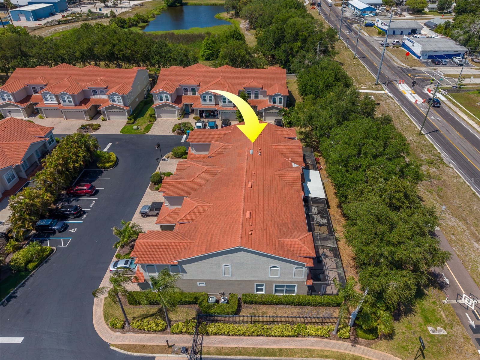 1415 Tessano Place Palm Harbor FL 34683 TB8516501 image64