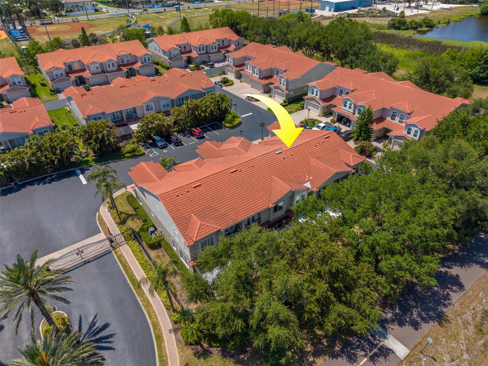 1415 Tessano Place Palm Harbor FL 34683 TB8516501 image65