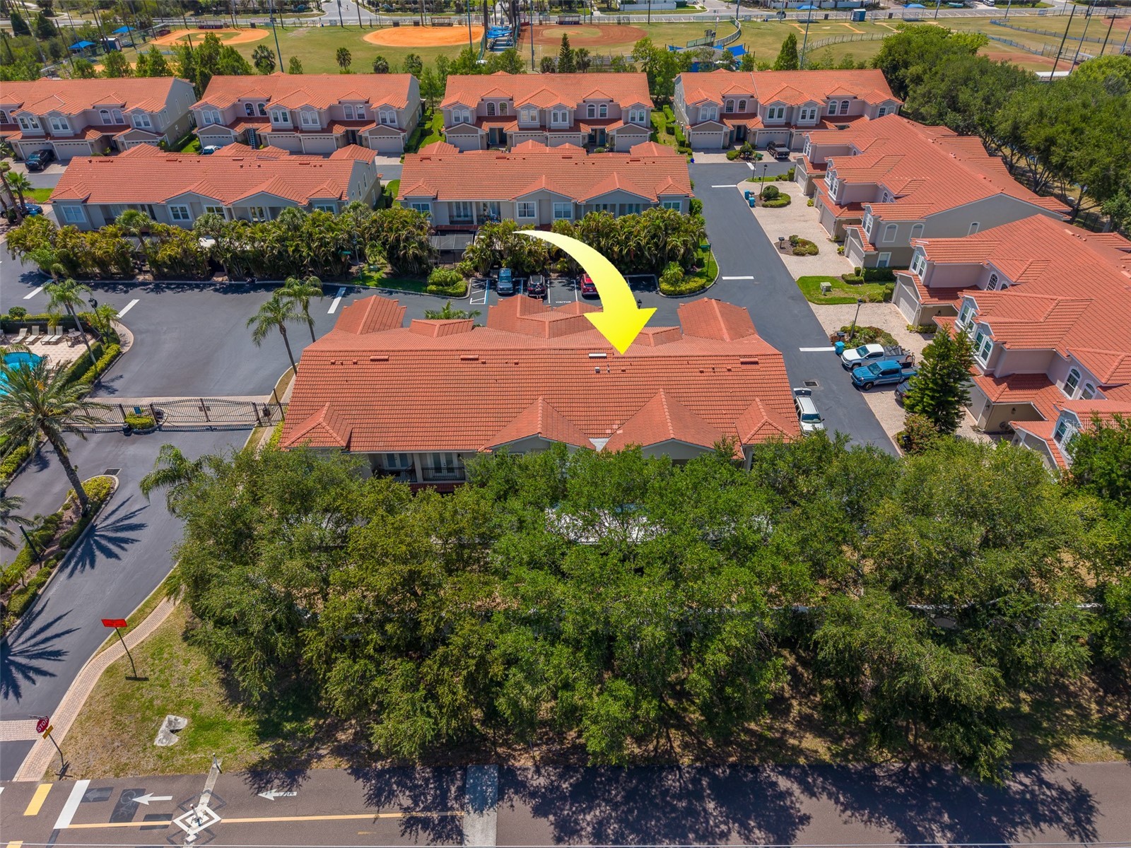 1415 Tessano Place Palm Harbor FL 34683 TB8516501 image66