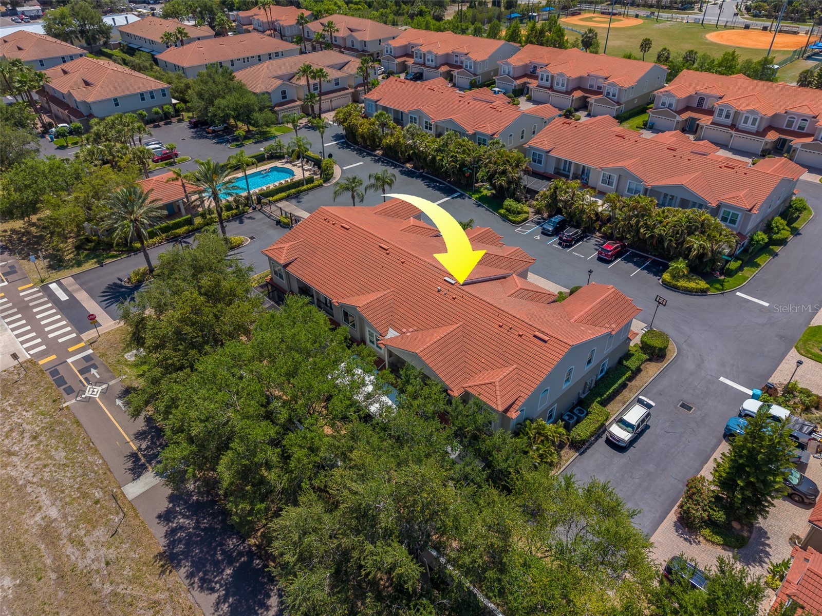 1415 Tessano Place Palm Harbor FL 34683 TB8516501 image67