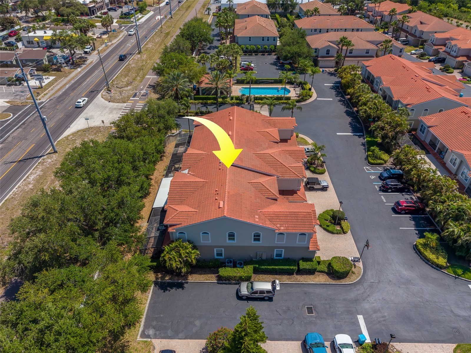 1415 Tessano Place Palm Harbor FL 34683 TB8516501 image68