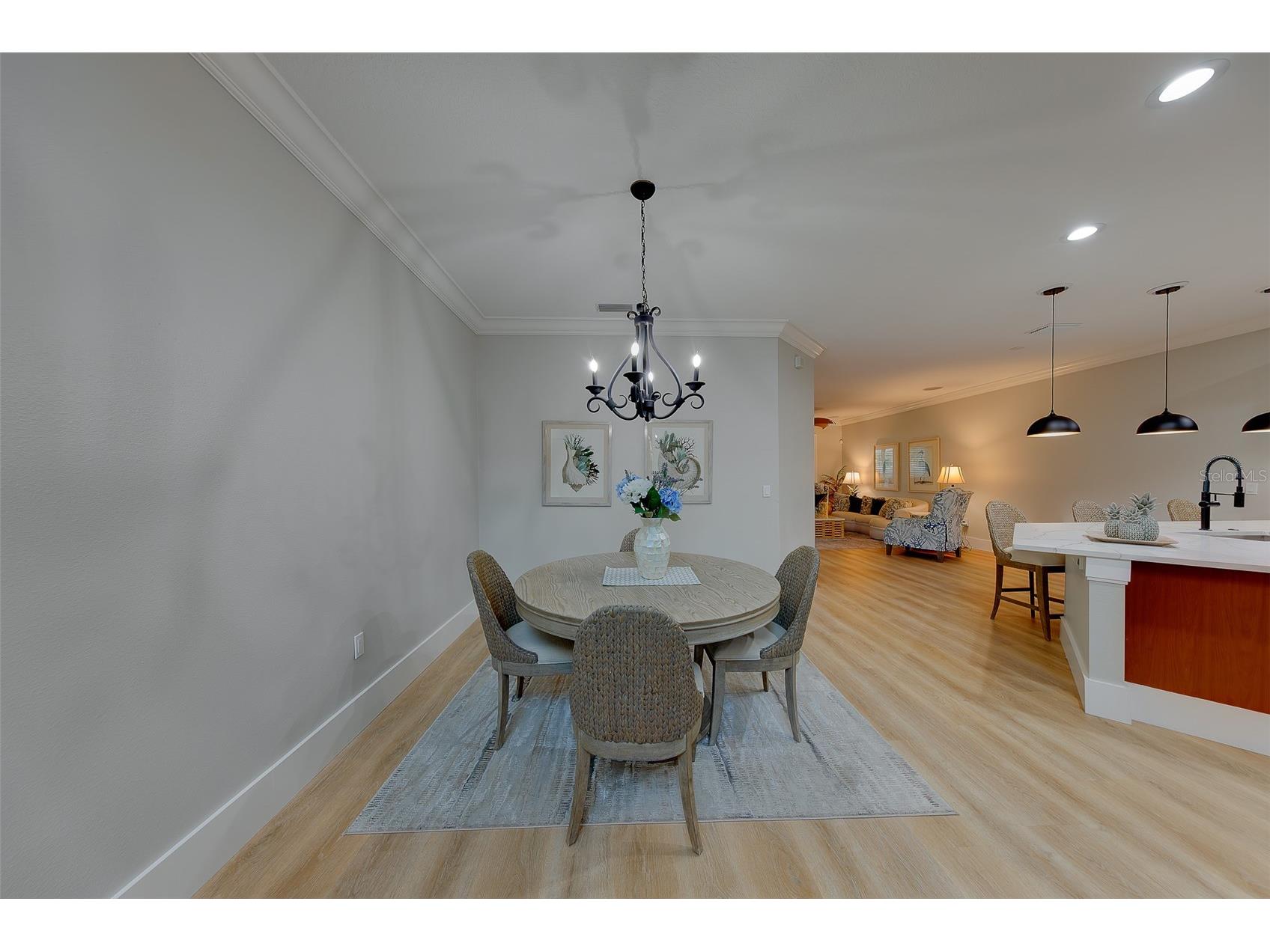 1415 Tessano Place Palm Harbor FL 34683 TB8516501 image7