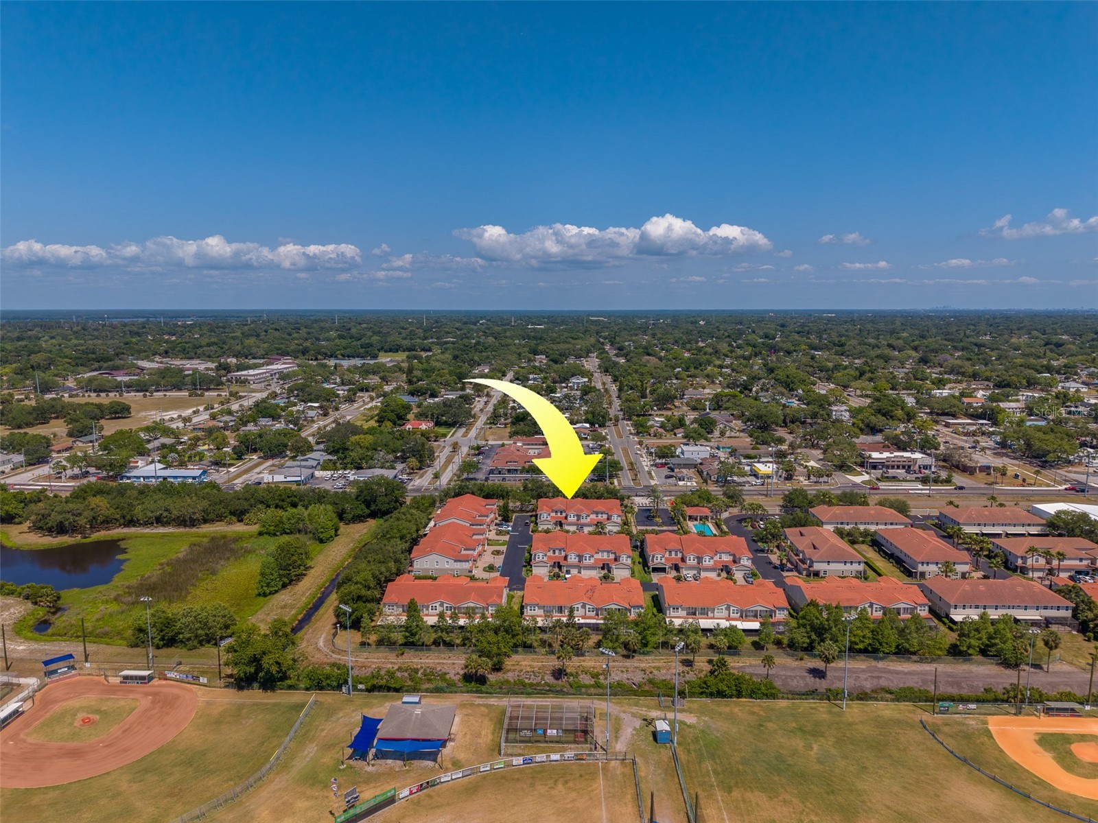 1415 Tessano Place Palm Harbor FL 34683 TB8516501 image70