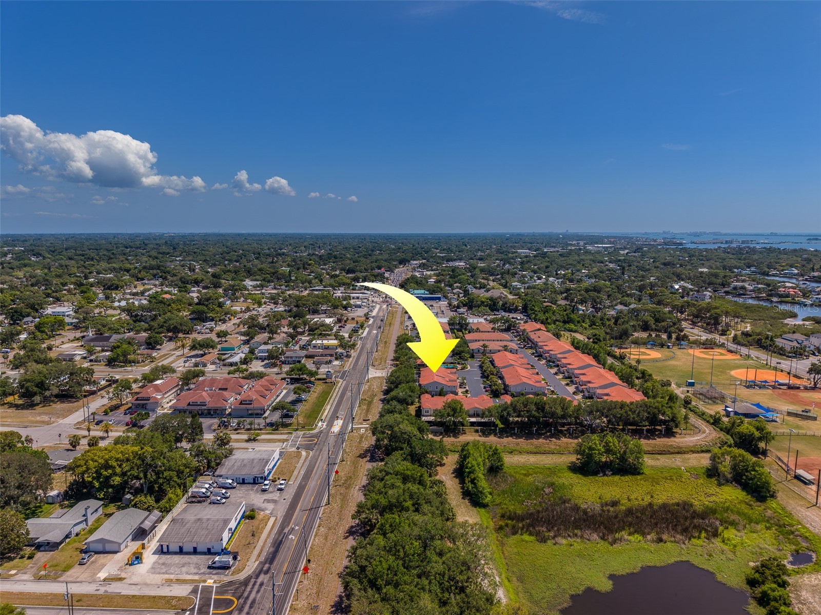 1415 Tessano Place Palm Harbor FL 34683 TB8516501 image73
