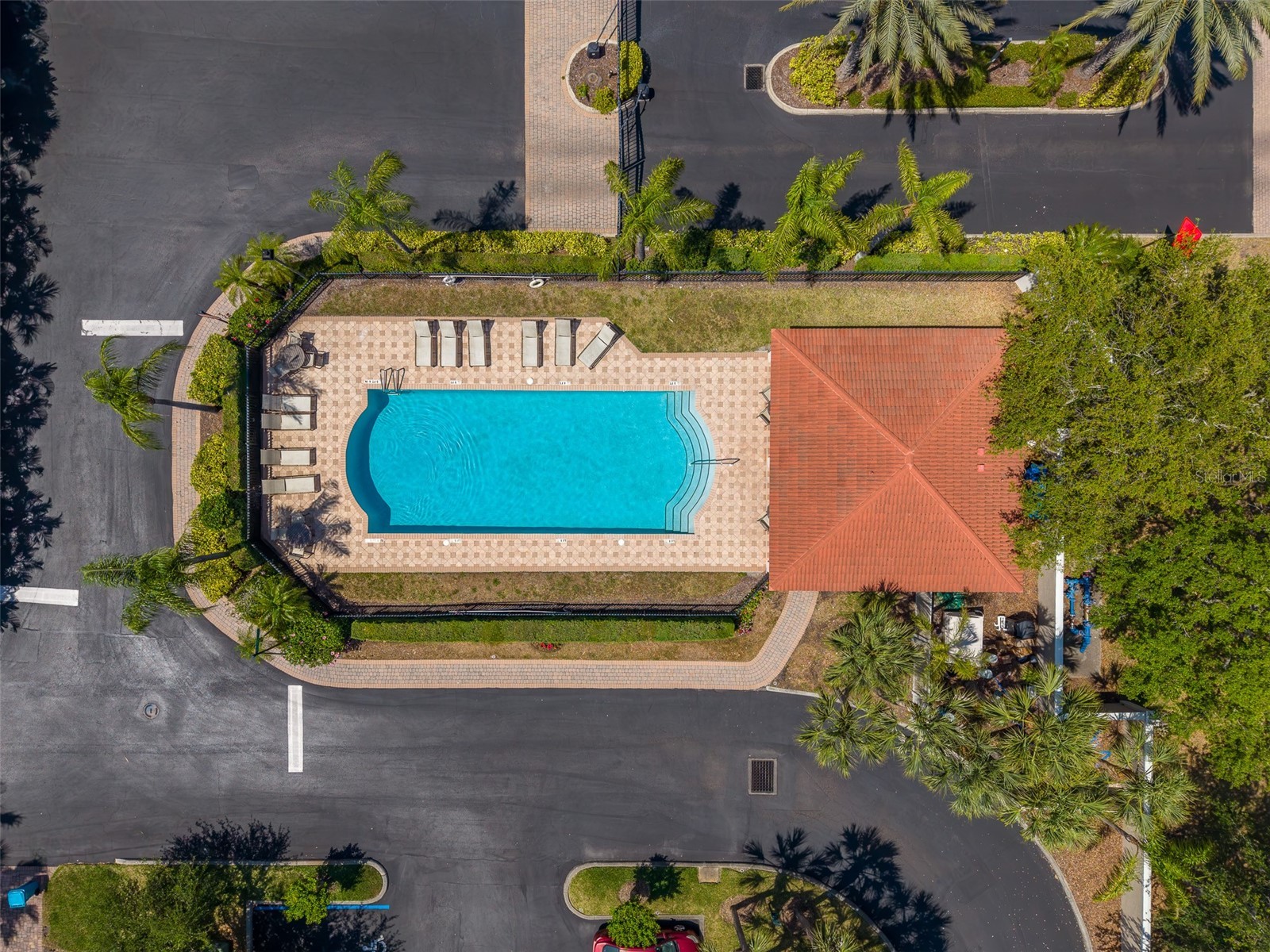 1415 Tessano Place Palm Harbor FL 34683 TB8516501 image74