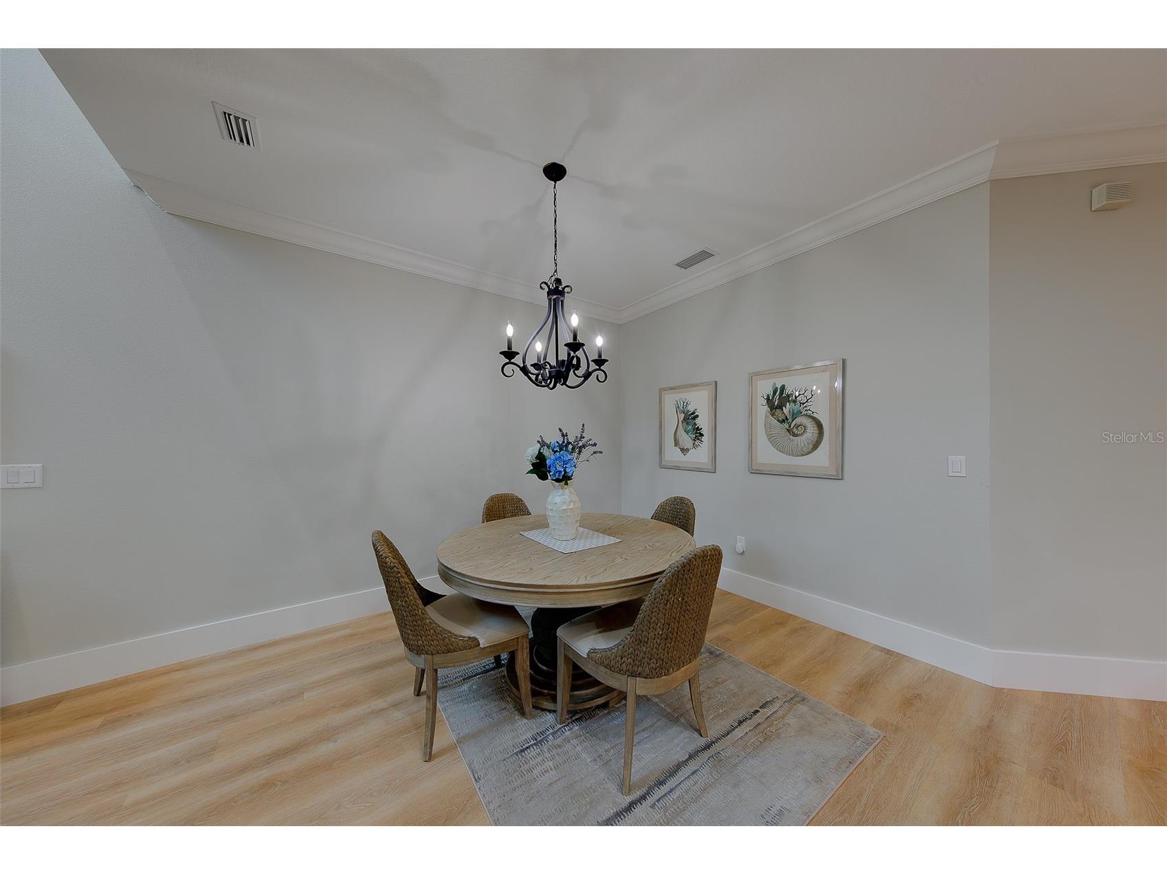 1415 Tessano Place Palm Harbor FL 34683 TB8516501 image8
