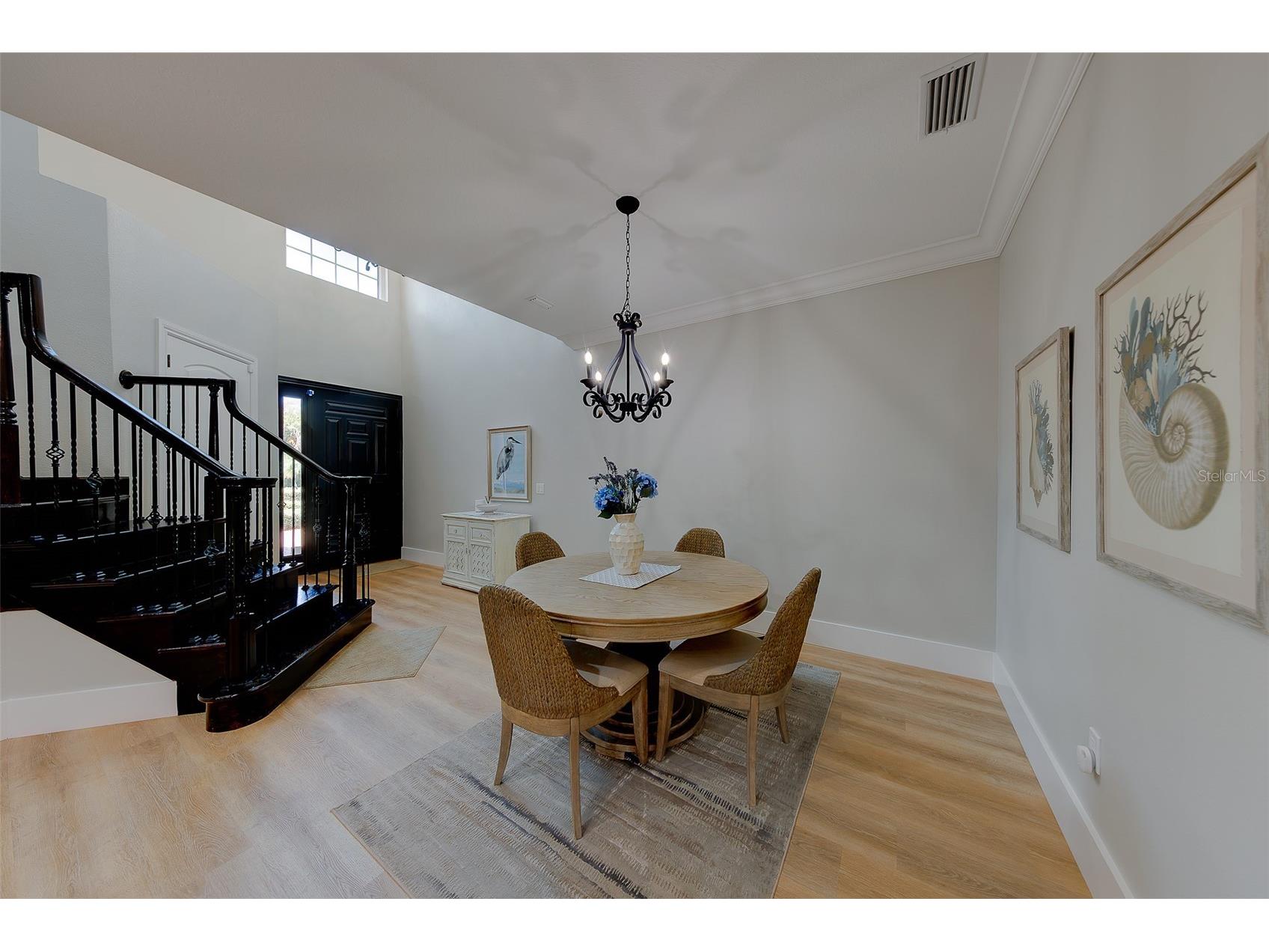 1415 Tessano Place Palm Harbor FL 34683 TB8516501 image9