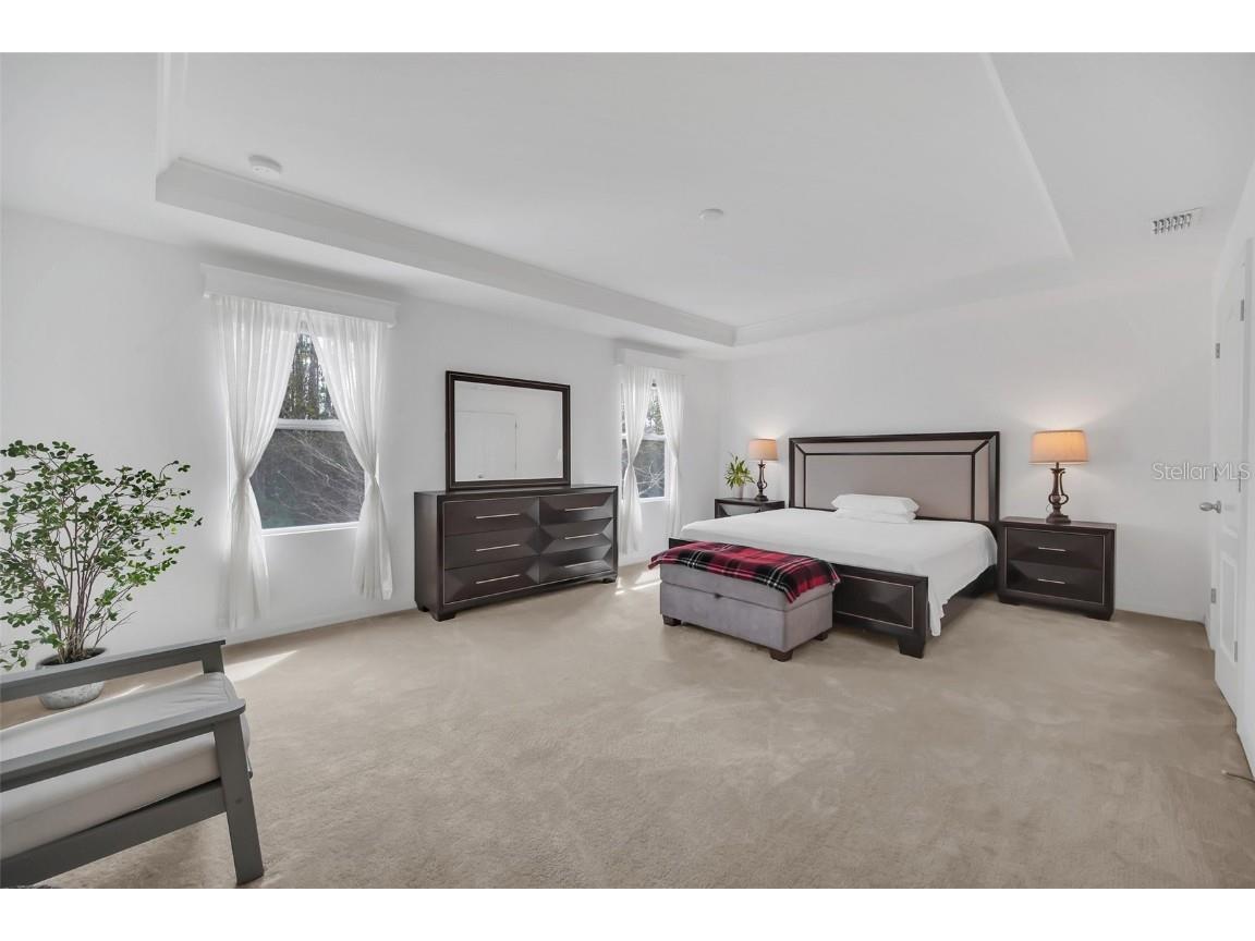 14150 Aldford Drive Winter Garden FL 34787 O6283901 image38