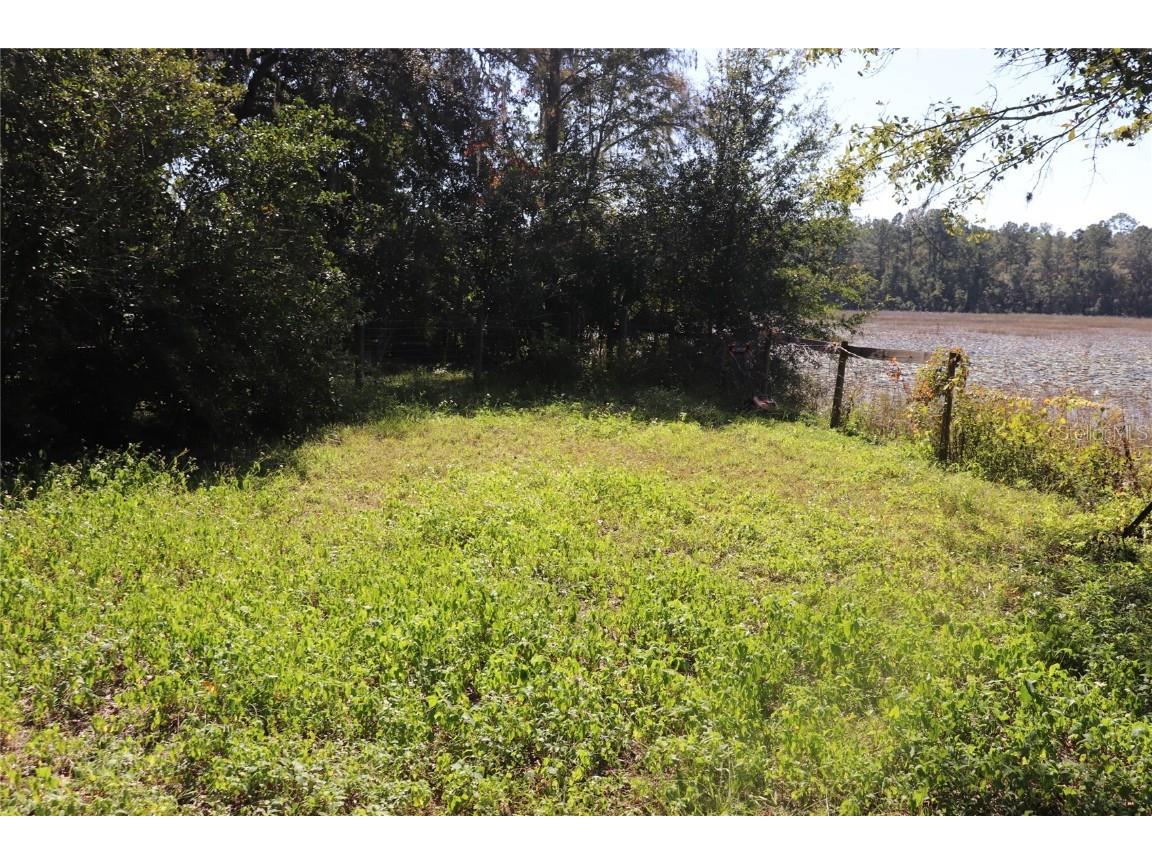 14150 NE 110th Avenue Road Fort Mc Coy FL 32134 - LAKE ALBRITTON A4671585 image4