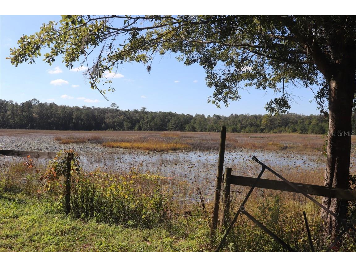 14150 NE 110th Avenue Road Fort Mc Coy FL 32134 - LAKE ALBRITTON A4671585 image5