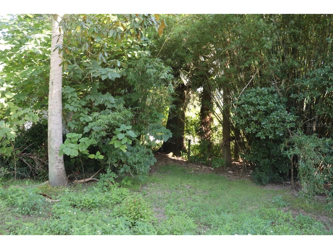 14150 NE 110th Avenue Road Fort Mc Coy FL 32134 - LAKE ALBRITTON A4671585 image7