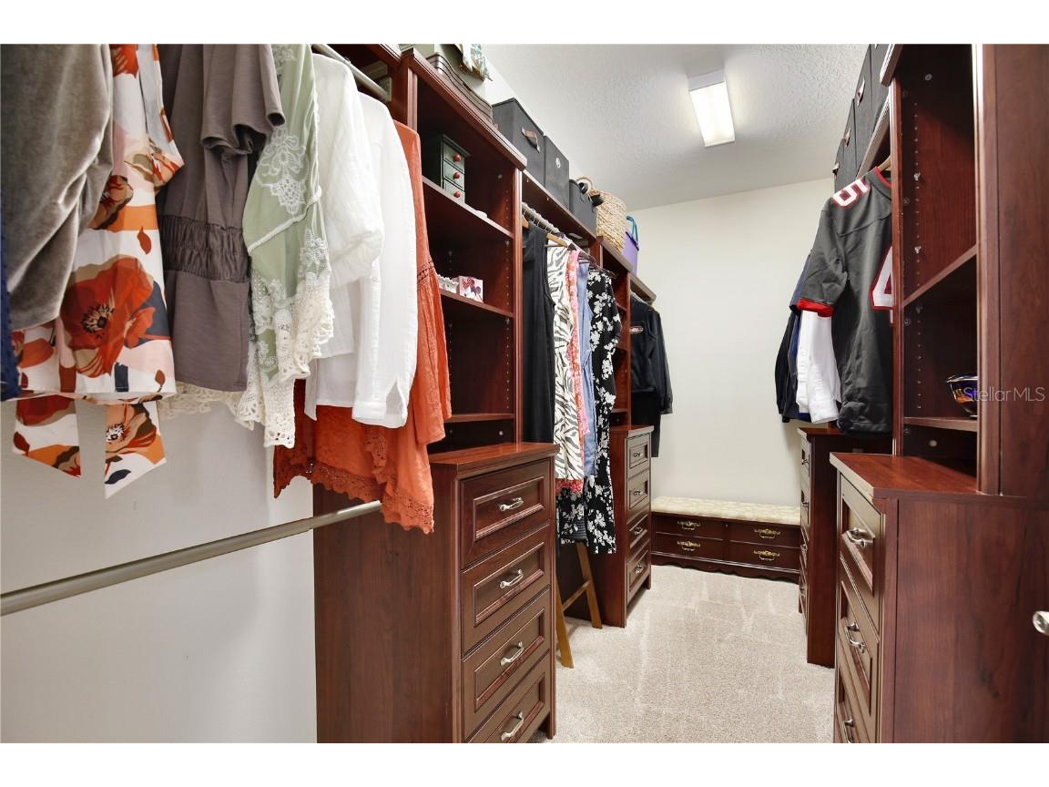 14151 Gold Bridge Drive Orlando FL 32824 O6364018 image21