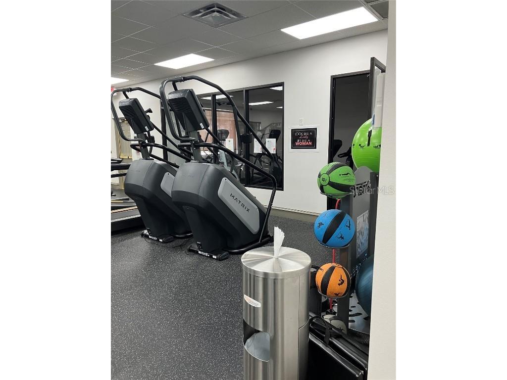 14151 Gold Bridge Drive Orlando FL 32824 O6364018 image36