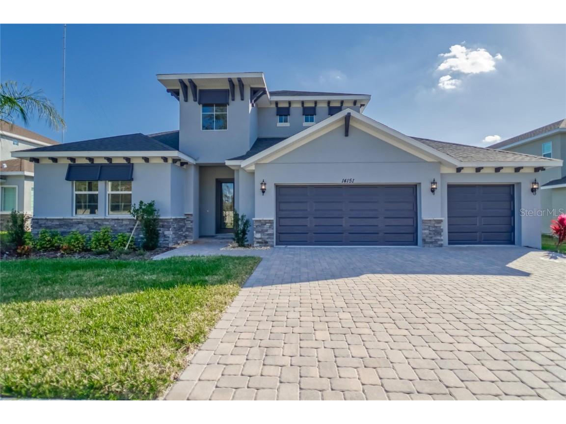 14151 Tomentosa Avenue Riverview FL 33569 T3394189 image1