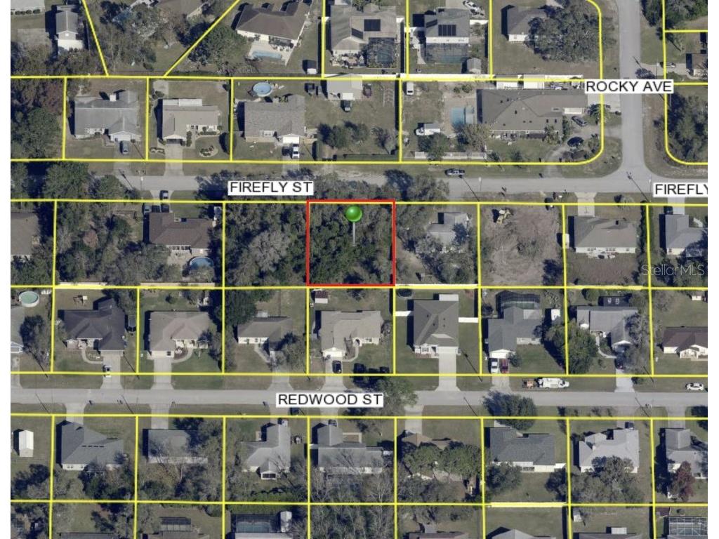 14152 Firefly Street Spring Hill FL 34609 TB8380049 image1