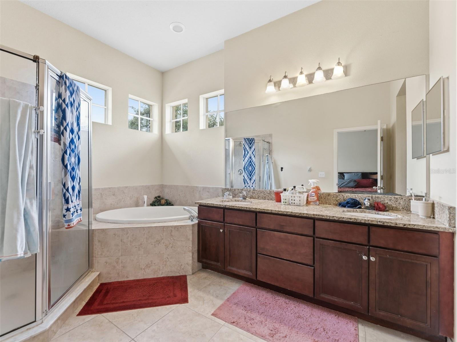 14153 Citrus Crest Circle Tampa FL 33625 TB8513555 image11