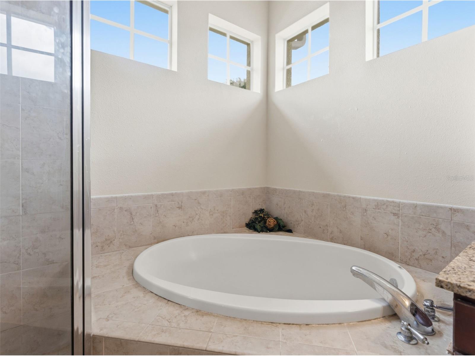 14153 Citrus Crest Circle Tampa FL 33625 TB8513555 image12