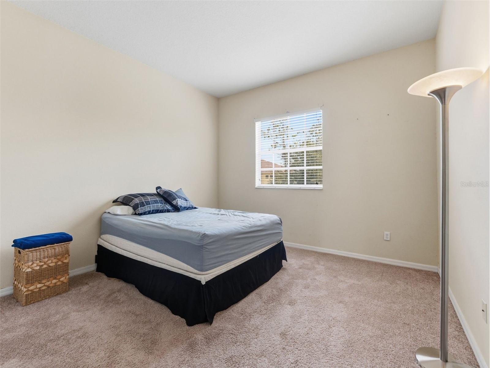 14153 Citrus Crest Circle Tampa FL 33625 TB8513555 image16