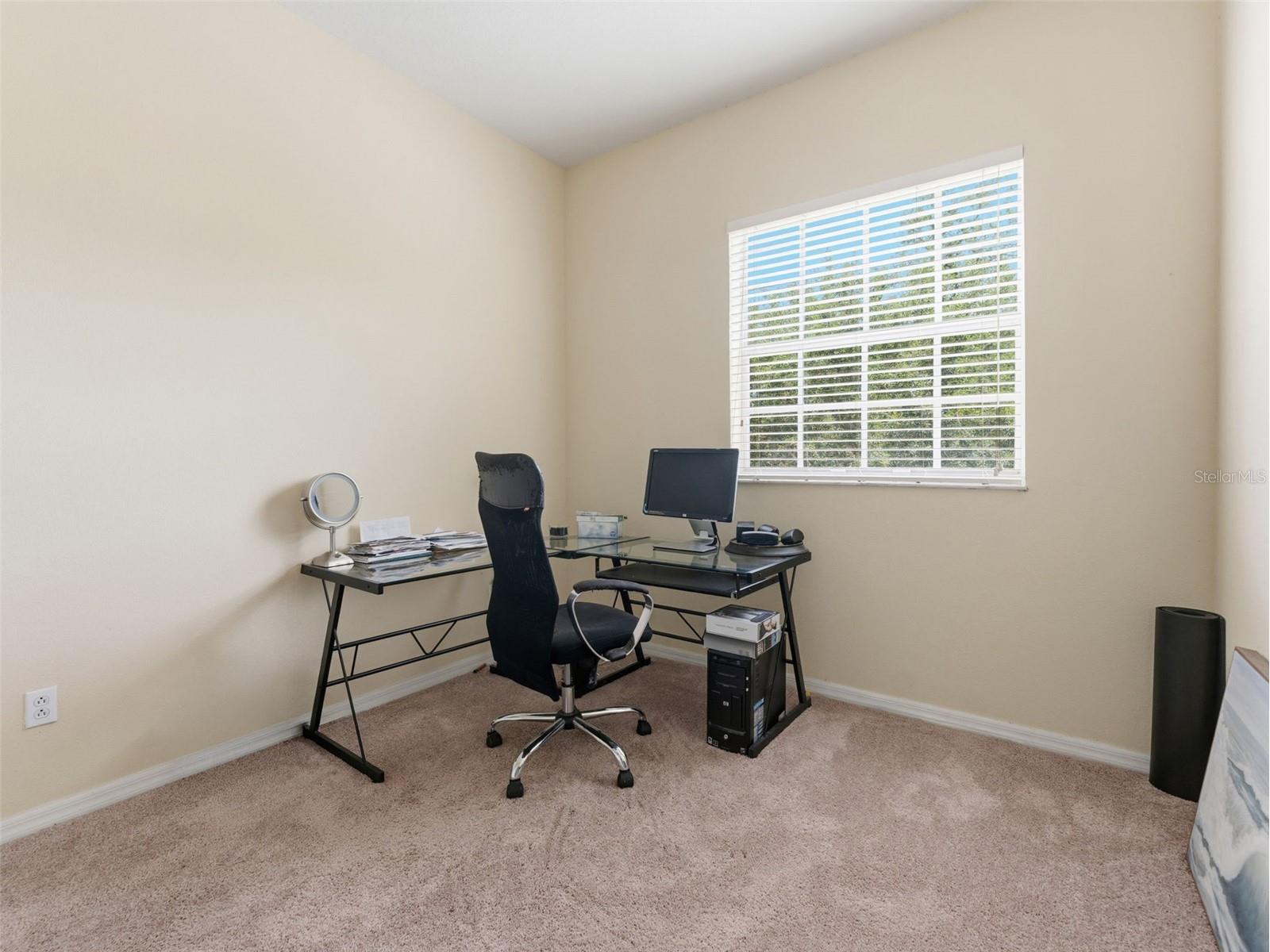 14153 Citrus Crest Circle Tampa FL 33625 TB8513555 image19