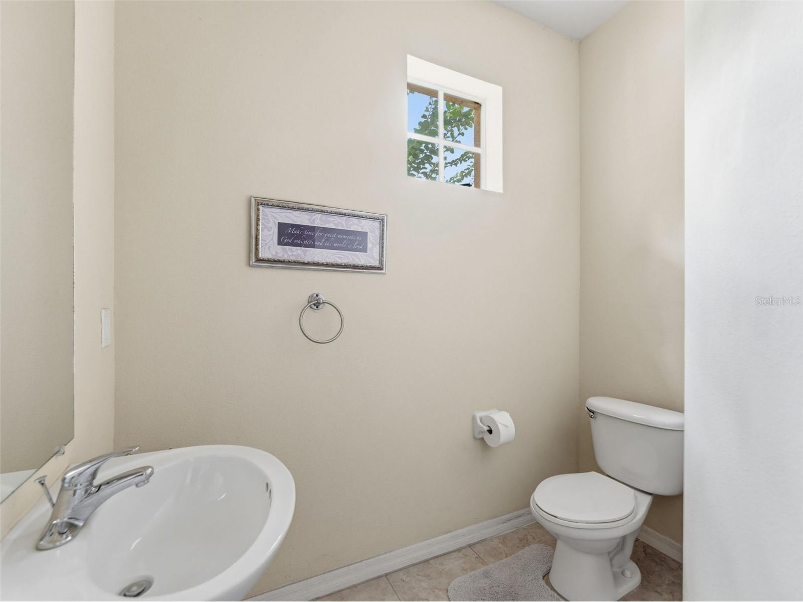 14153 Citrus Crest Circle Tampa FL 33625 TB8513555 image22