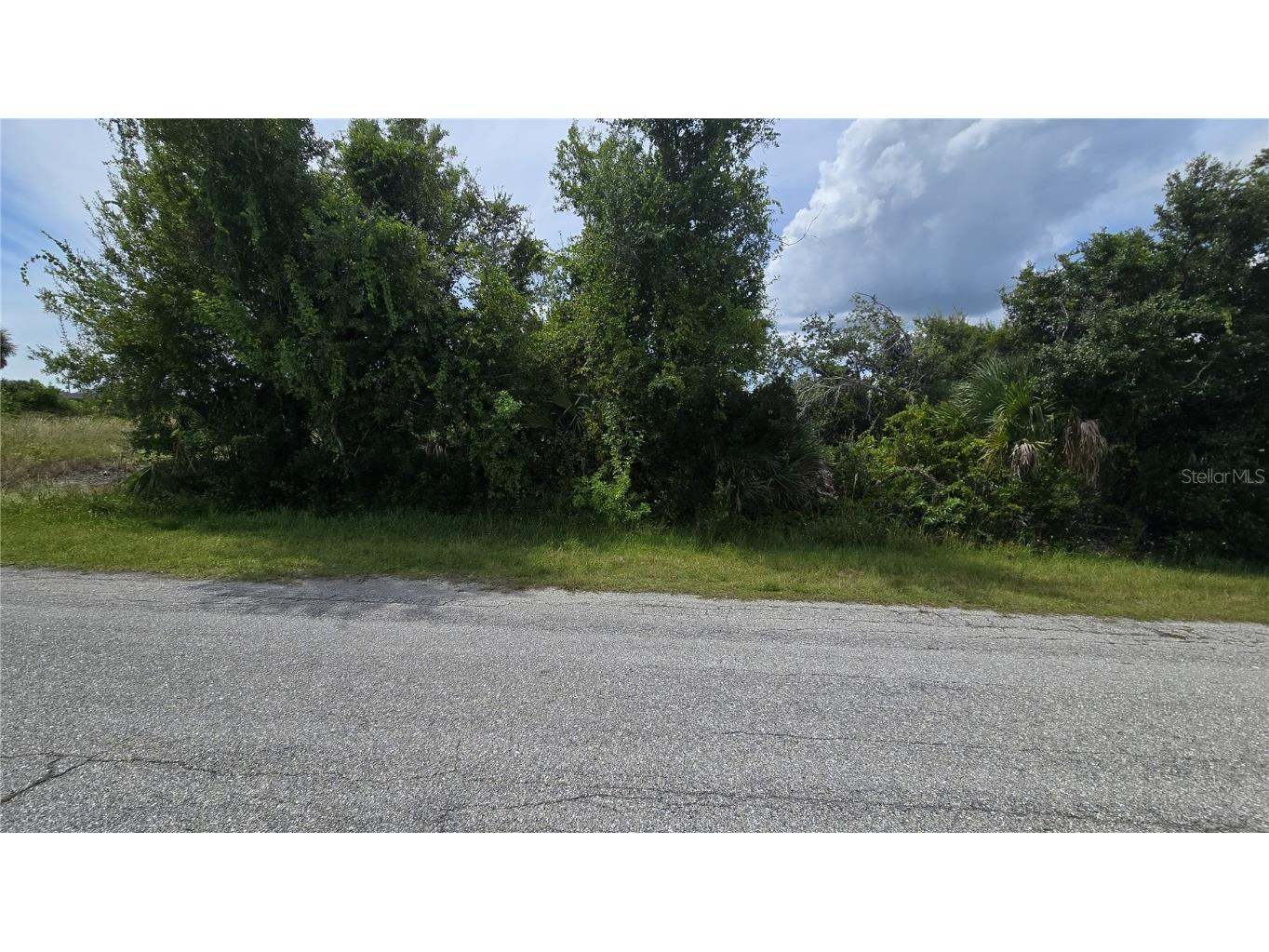 14153 Fruit Port Circle Port Charlotte FL 33981 - FRUITPORT WATERWAY N6140623 image2