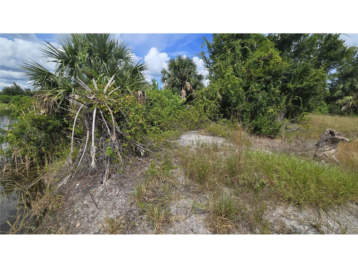 14153 Fruit Port Circle Port Charlotte FL 33981 - FRUITPORT WATERWAY N6140623 image5