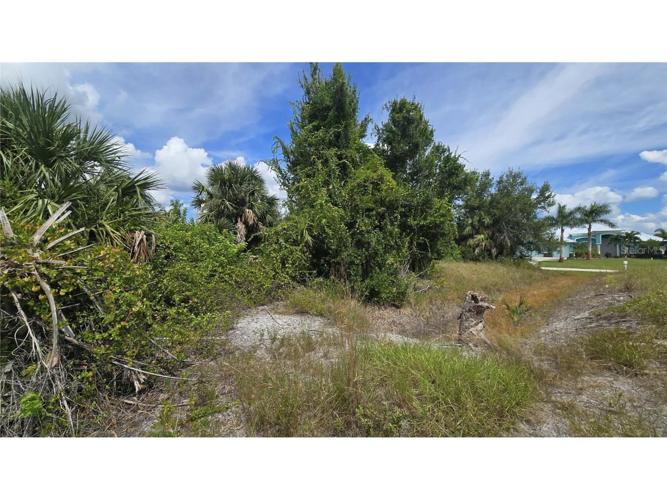 14153 Fruit Port Circle Port Charlotte FL 33981 - FRUITPORT WATERWAY N6140623 image7