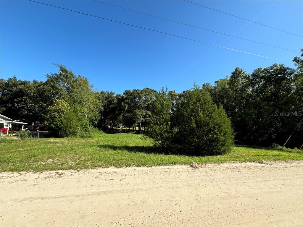 14153 NE 49th Lane Williston FL 32696 S5111163 image1