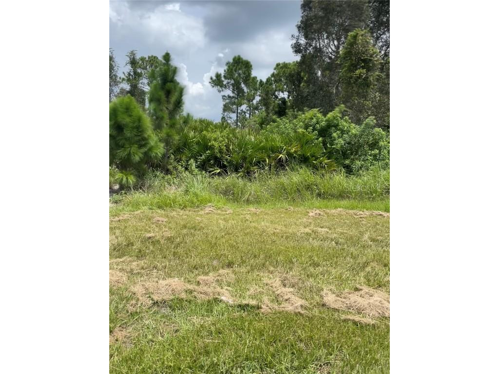 14154 Ingraham Boulevard Port Charlotte FL 33981 C7474599 image1