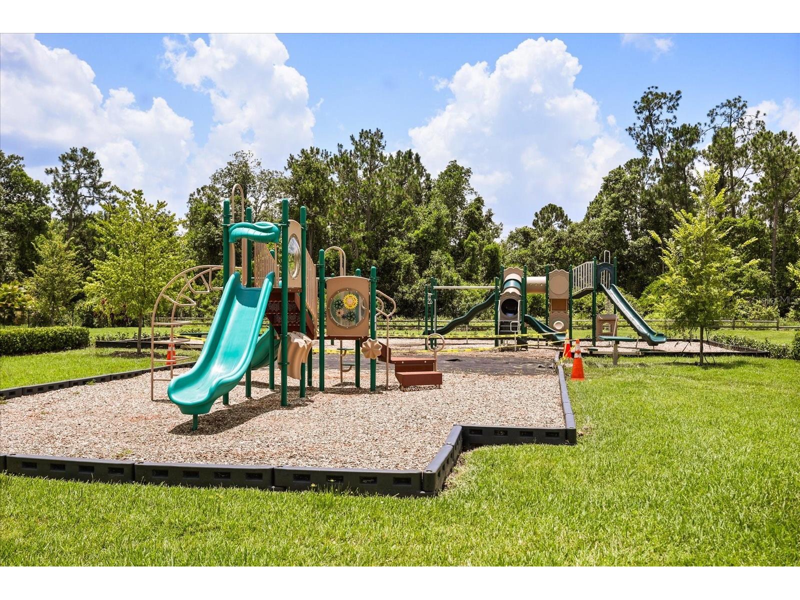 14154 Shocklach Drive Winter Garden FL 34787 O6406481 image34