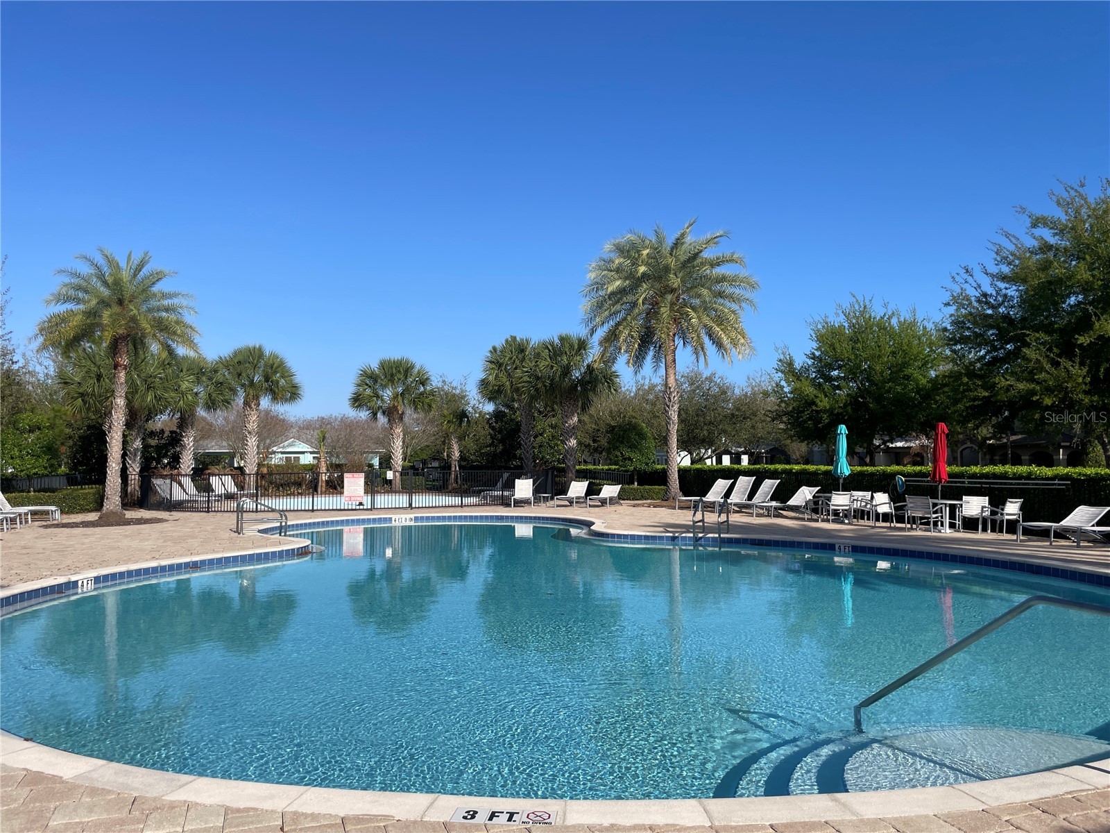14155 Lakeview Park Road Winter Garden FL 34787 O6393788 image22