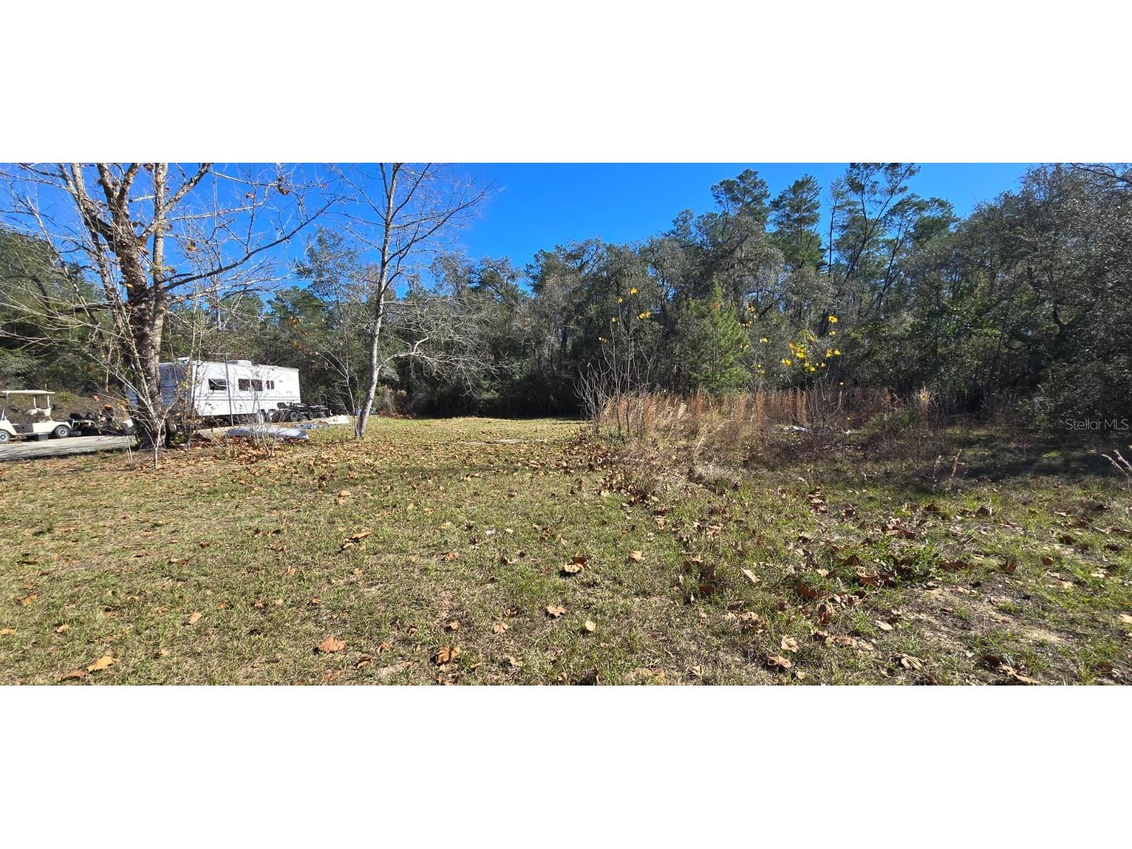 14157 SE 209th Terrace Umatilla FL 32784 G5105430 image1