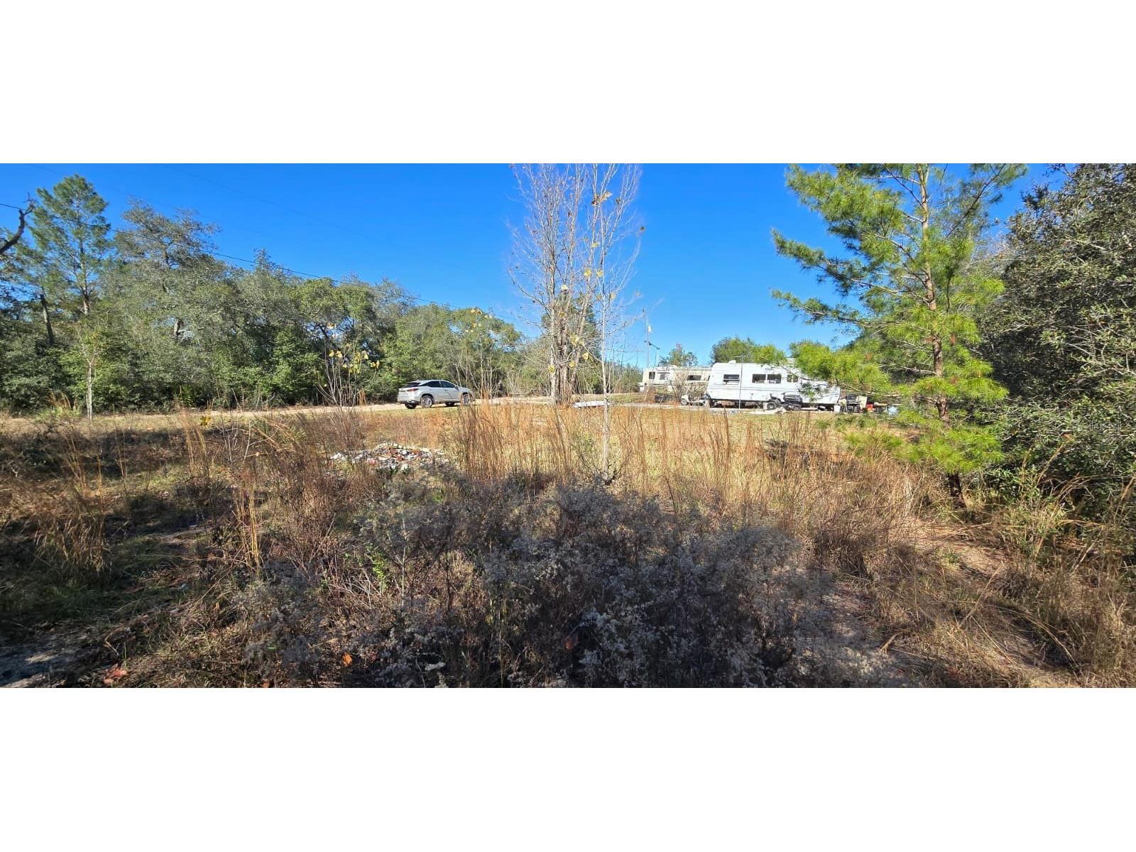 14157 SE 209th Terrace Umatilla FL 32784 G5105430 image3