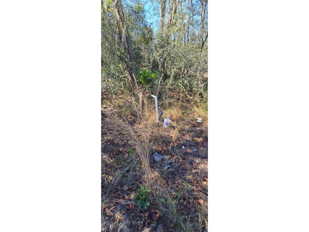 14157 SE 209th Terrace Umatilla FL 32784 G5105430 image5