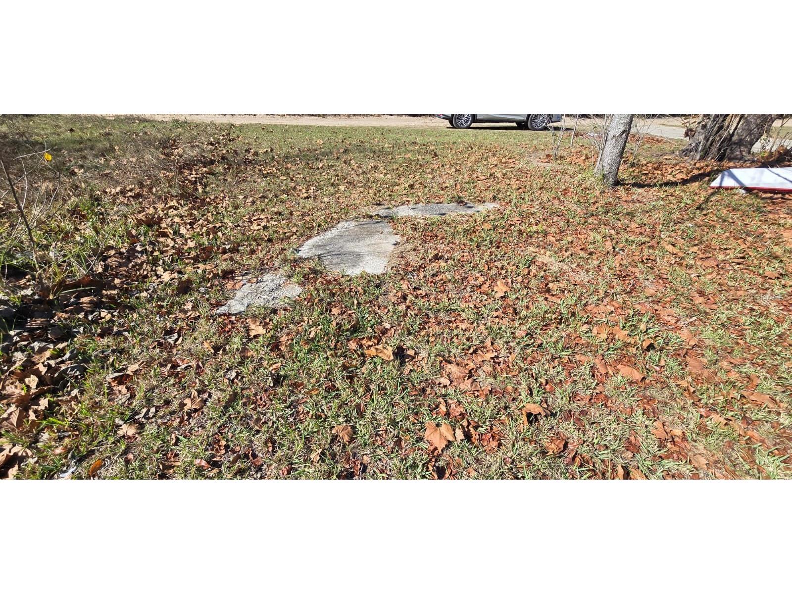 14157 SE 209th Terrace Umatilla FL 32784 G5105430 image6