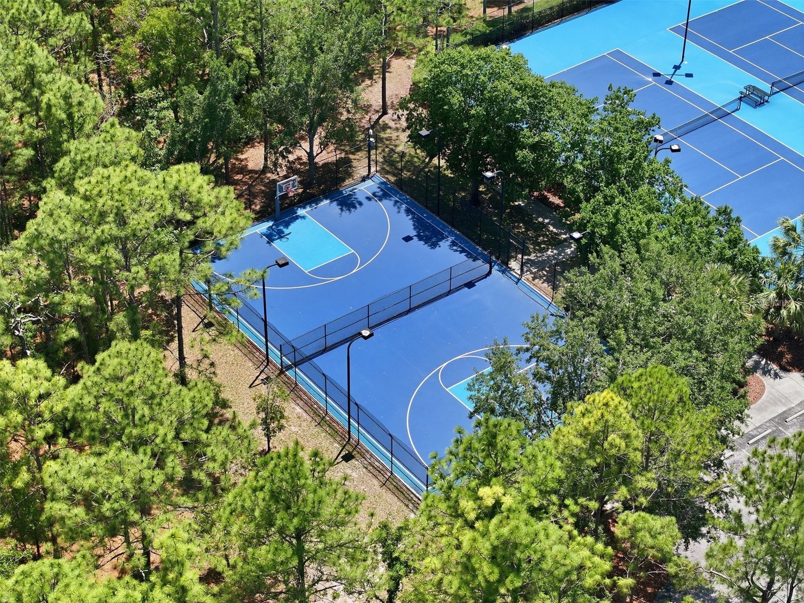 14158 Leybourne Way Spring Hill FL 34609 W7887251 image61