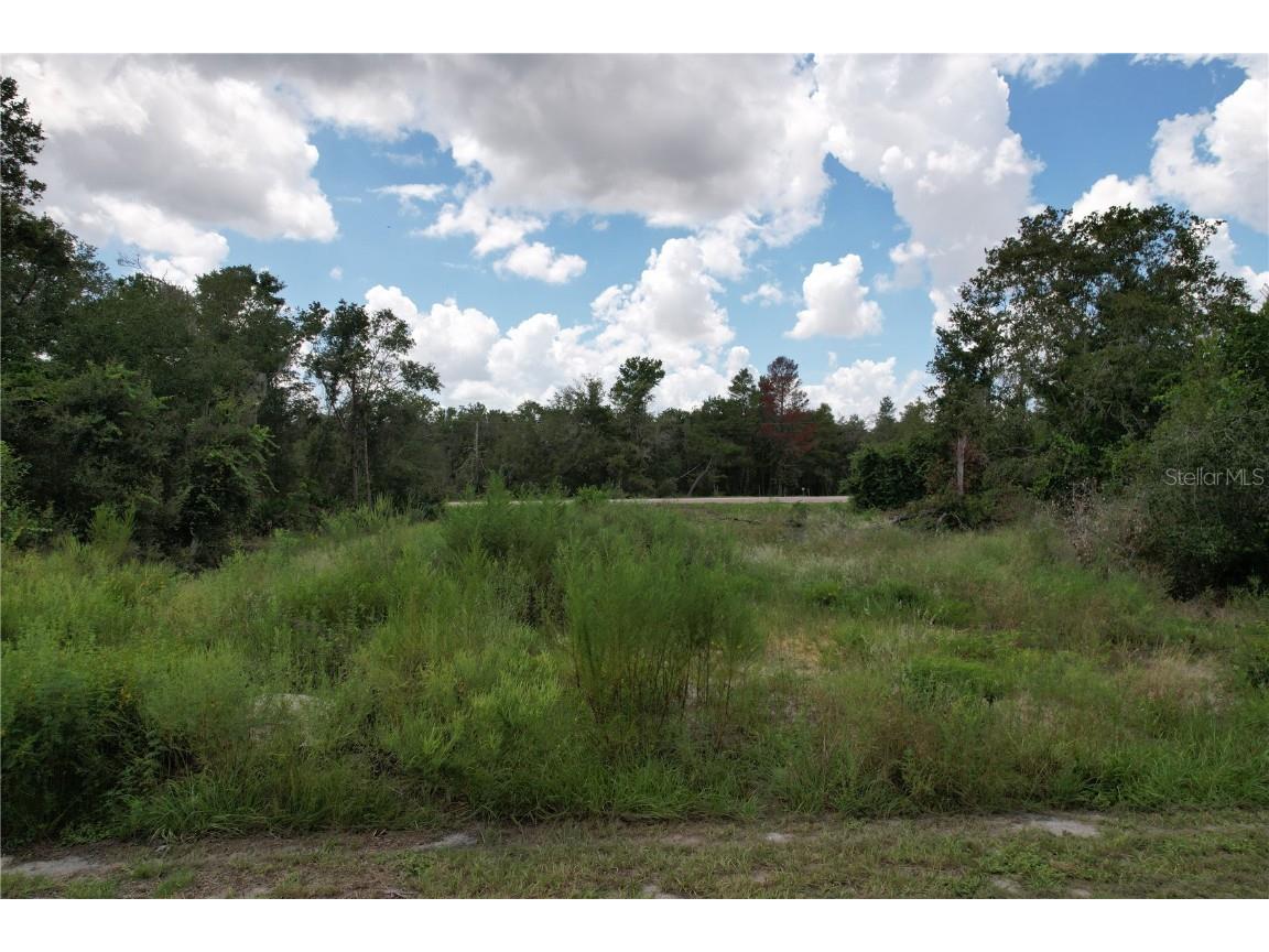 1416 Stuart Lane Kissimmee FL 34759 S5133750 image1