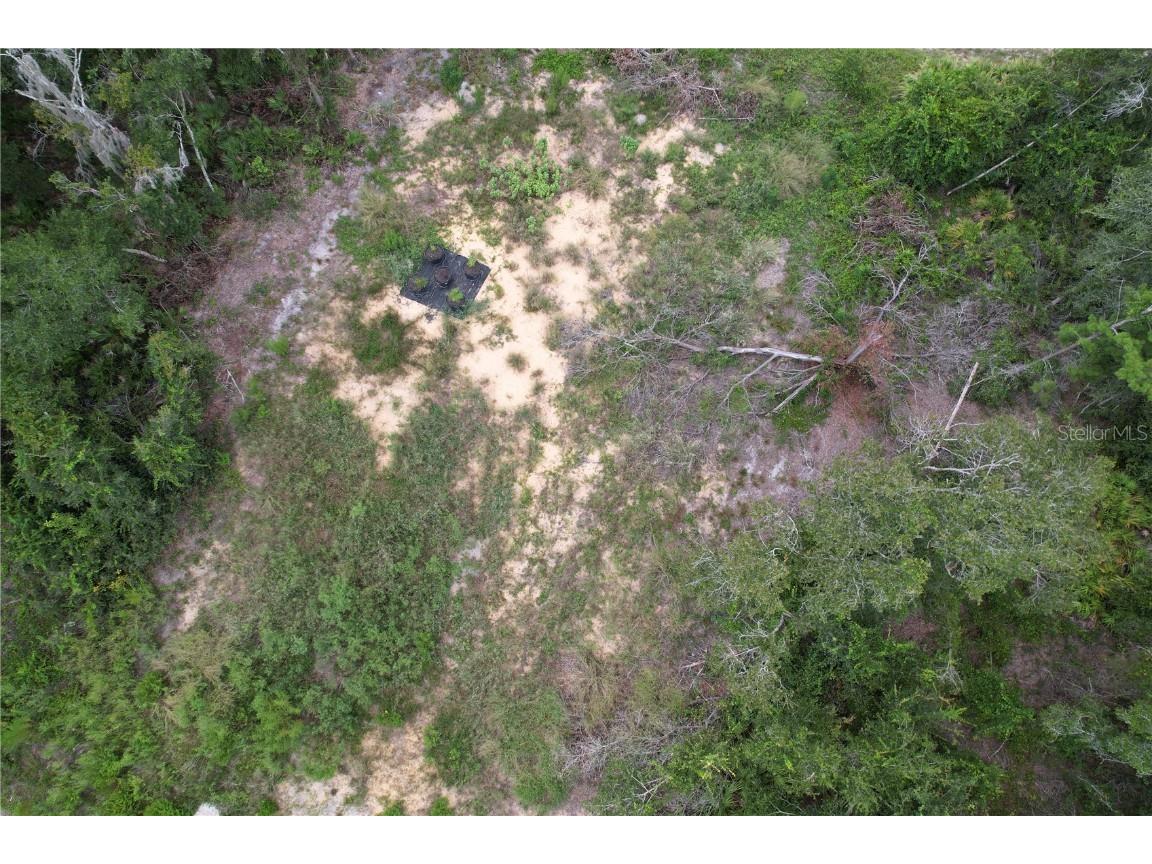 1416 Stuart Lane Kissimmee FL 34759 S5133750 image4