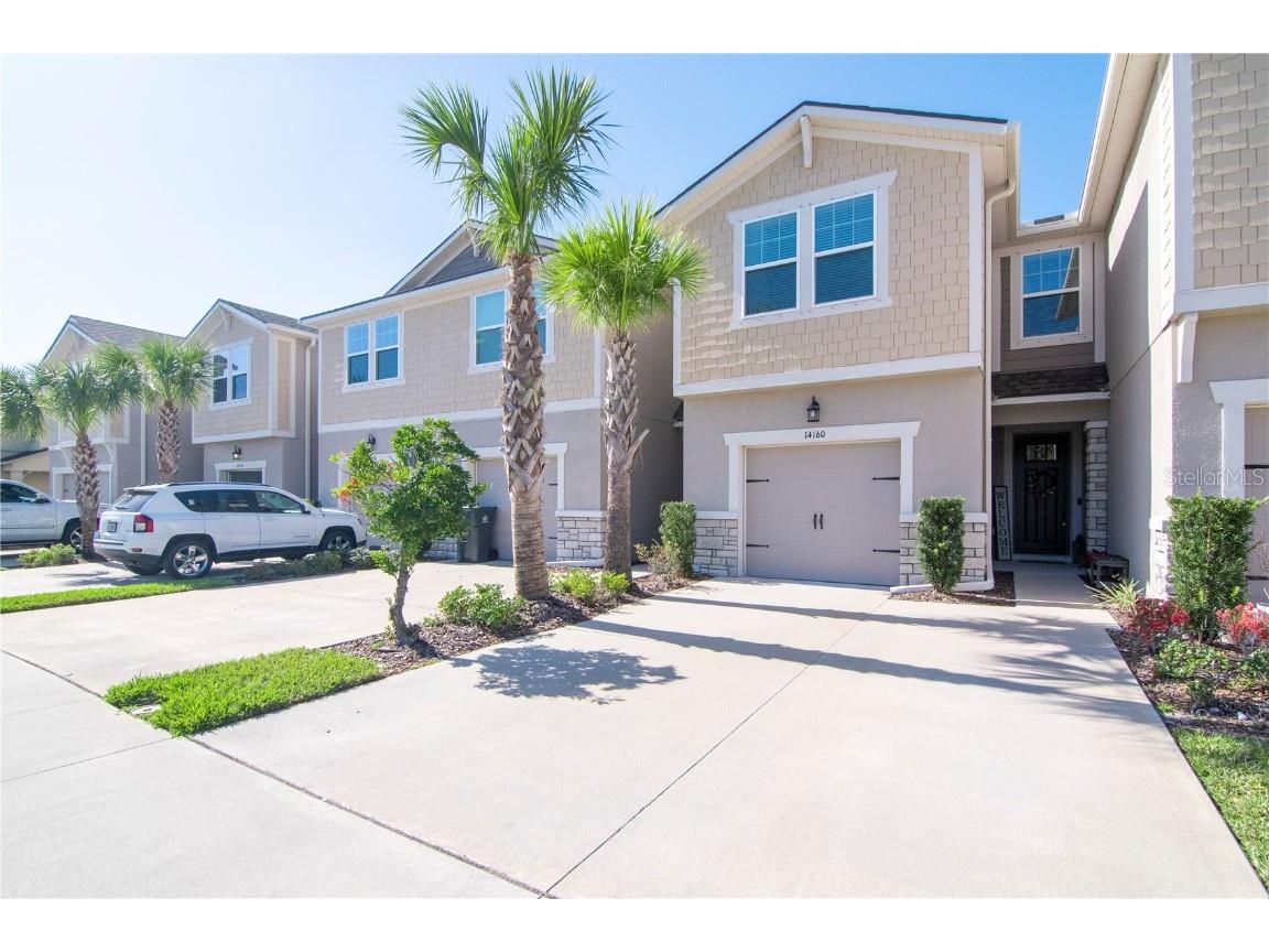 14160 Damselfly Drive Tampa FL 33625 U8189304 image1