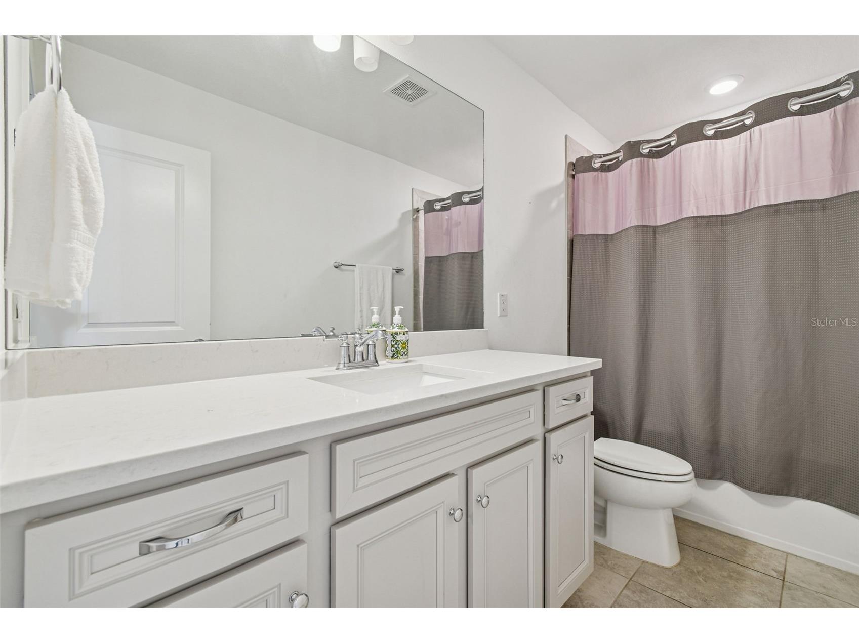 14161 Hammock Crest Way Riverview FL 33569 TB8511245 image16