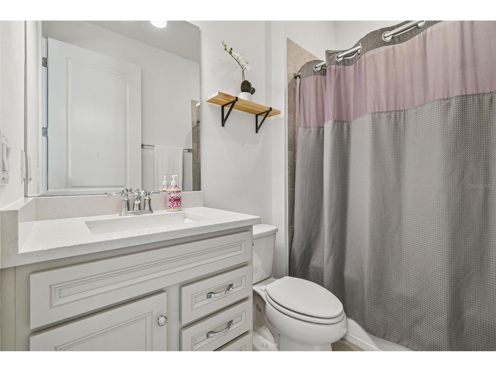14161 Hammock Crest Way Riverview FL 33569 TB8511245 image17