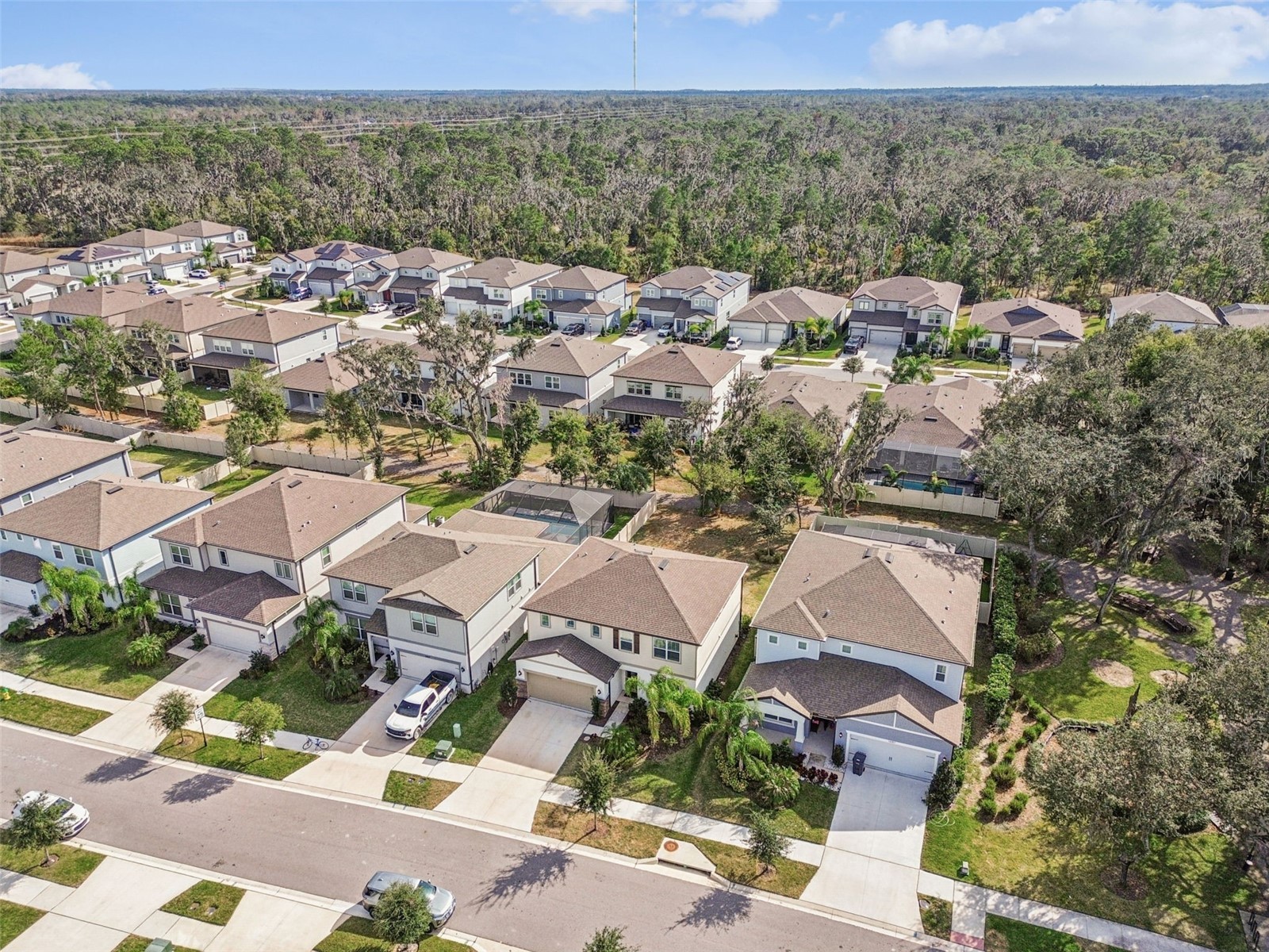 14161 Hammock Crest Way Riverview FL 33569 TB8511245 image59