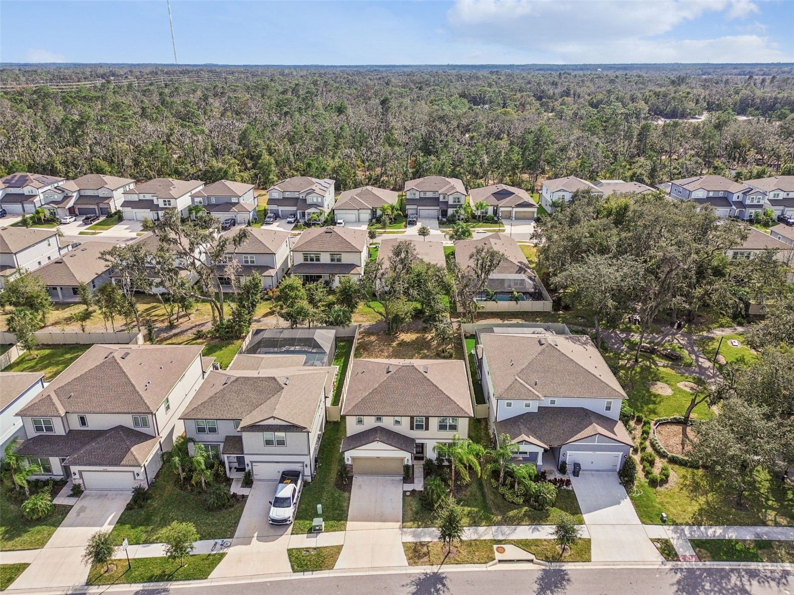 14161 Hammock Crest Way Riverview FL 33569 TB8511245 image61