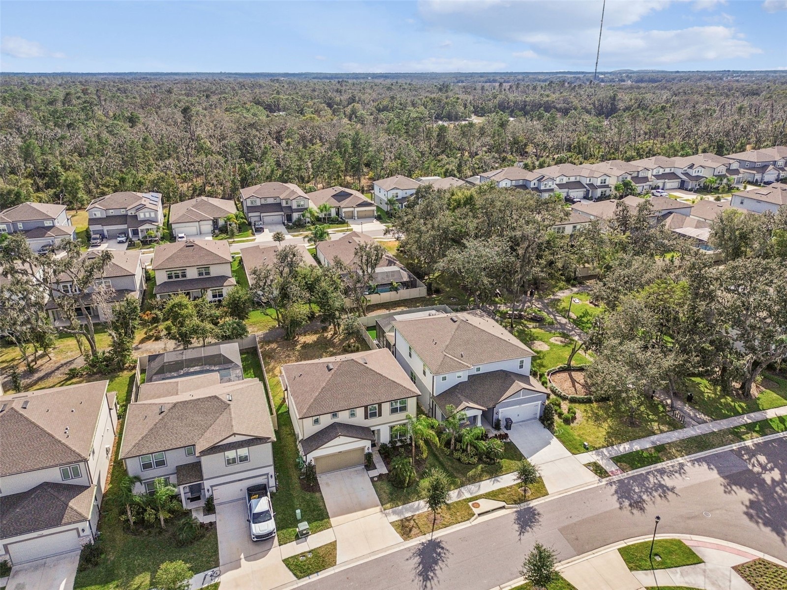 14161 Hammock Crest Way Riverview FL 33569 TB8511245 image63