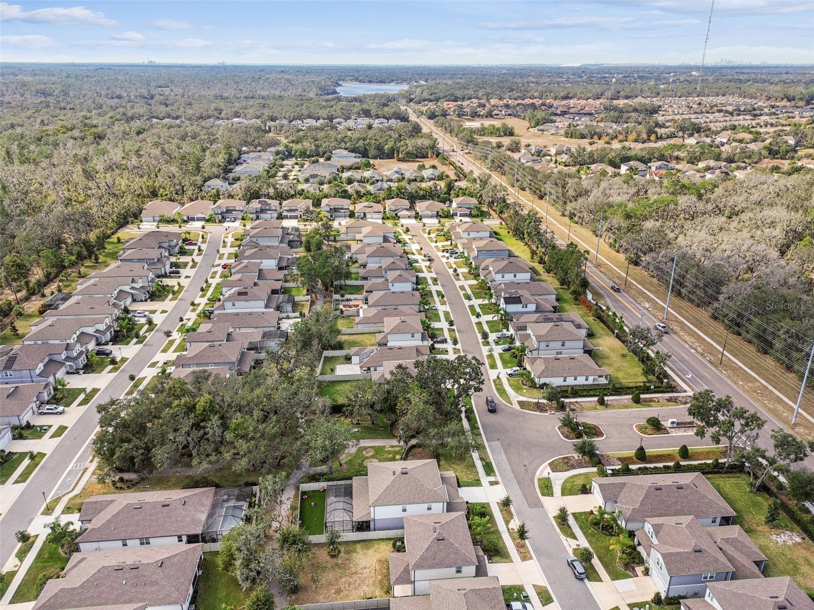 14161 Hammock Crest Way Riverview FL 33569 TB8511245 image64