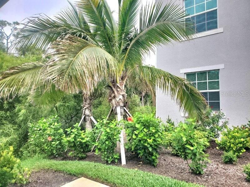 14161 Heritage Landing Boulevard #1121 Punta Gorda FL 33955 C7527136 image29