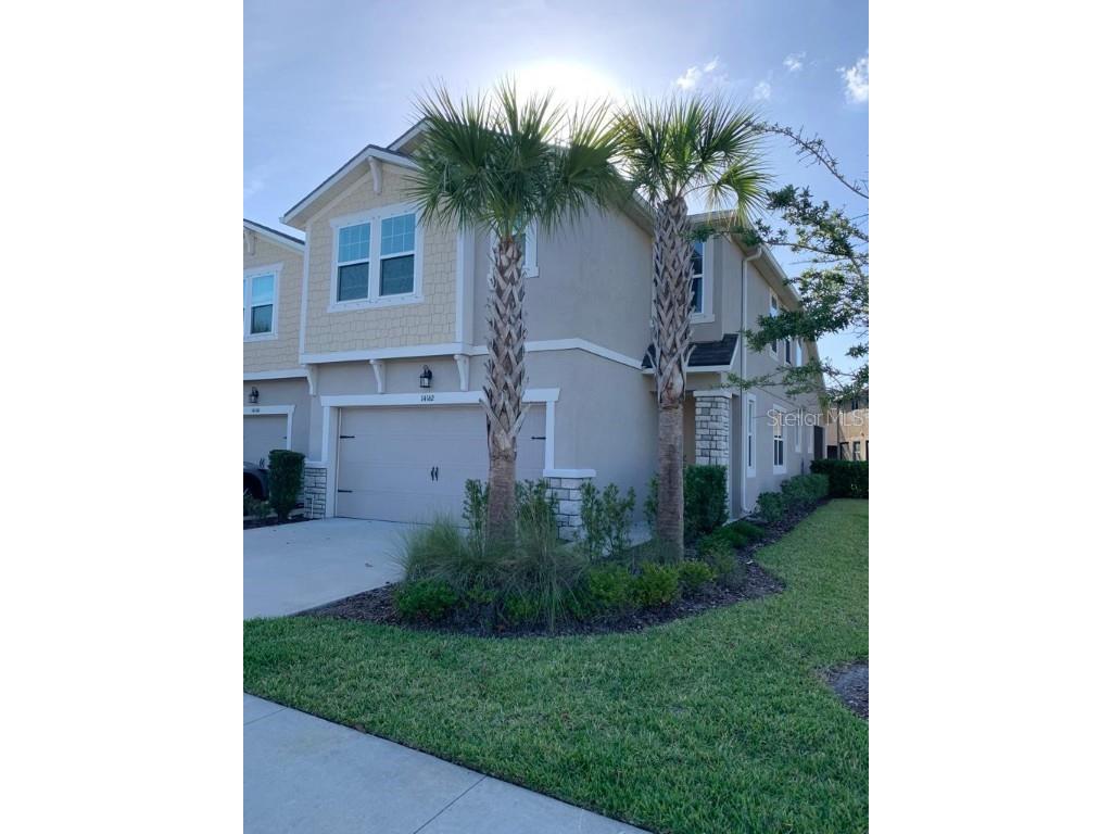14162 Damselfly Drive Tampa FL 33625 T3442025 image1